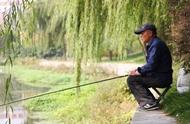钓鱼：老少皆宜的休闲活动，老年人需注意这些事项