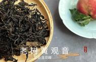 武夷岩茶黄观音与老树茶，为何不能只选其一？