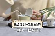 5分钟速成：泡茶水温知识全解析，沸水与温水大不同