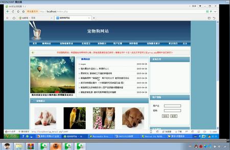 宠物交易系统：PHP+MySQL开发实践