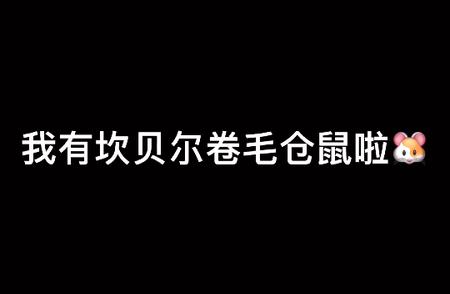 卷毛仓鼠闪亮登场！快来为它取名吧！