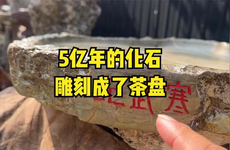 古老化石雕琢成茶盘：现代装饰艺术欣赏