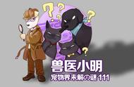 揭秘警犬选拔：智力是关键吗？金毛与边牧的合格之谜