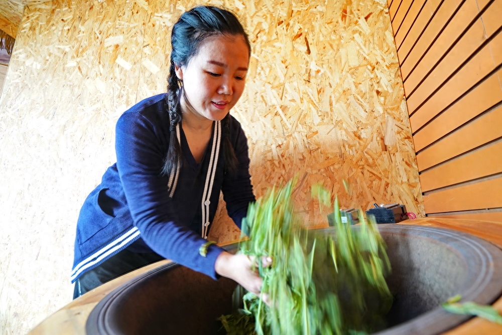 普洱游：体验做饼茶，把一份珍藏带回家